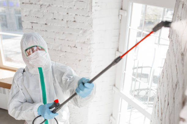 Best Commercial Mold Inspection  in Estill, SC