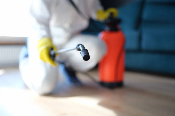 Best Real Estate Mold Inspection  in Estill, SC