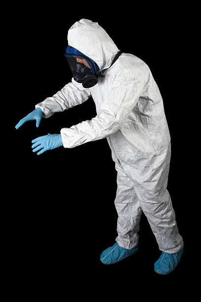 Best Residential Mold Inspection & Testing  in Estill, SC